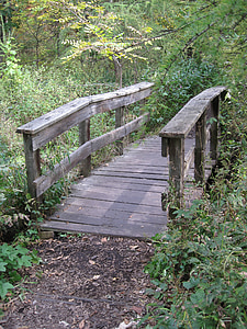 Ponte, boschi, percorso, vecchio, in legno