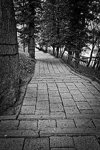 path, perspective, walkway, direction, pathway, countryside, black And White