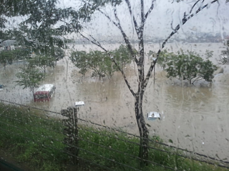 наводнения, hangang парк, без, природата