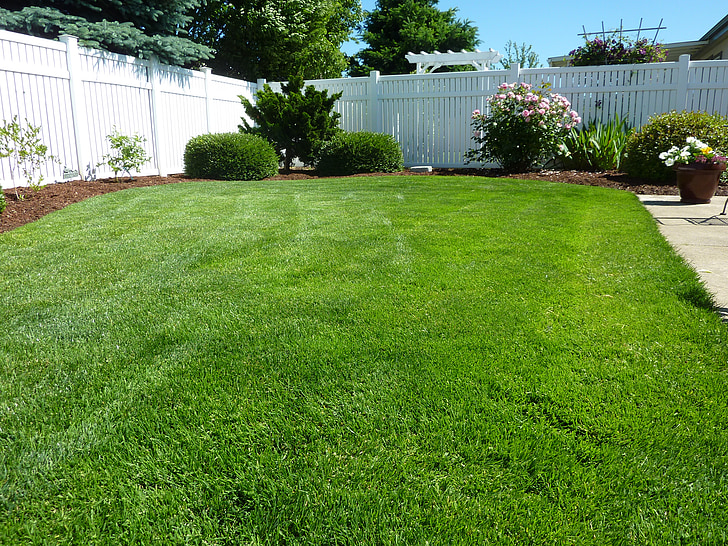 Back yard, herbe, clôture de vinyle, nature, à l’extérieur, pelouse, vert