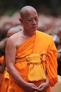 moine, bouddhiste, méditer, tradition, cérémonie, orange, robe