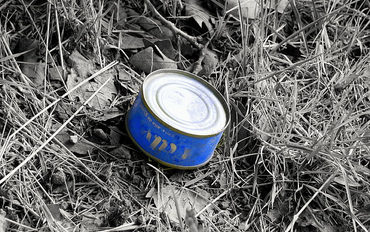 can, blue, nature, contamination, field, environmental
