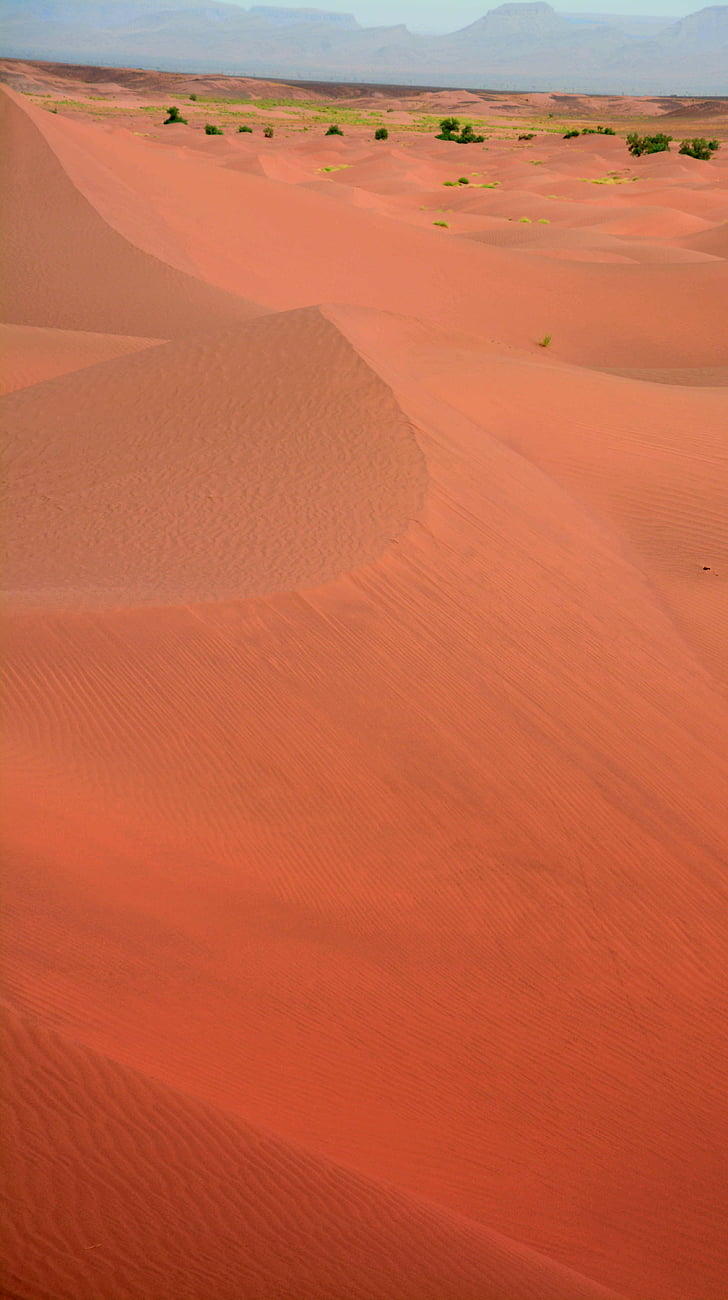 Sahara, pomarańczowy, wakacje, Pustynia, wydmy, piasek, Natura