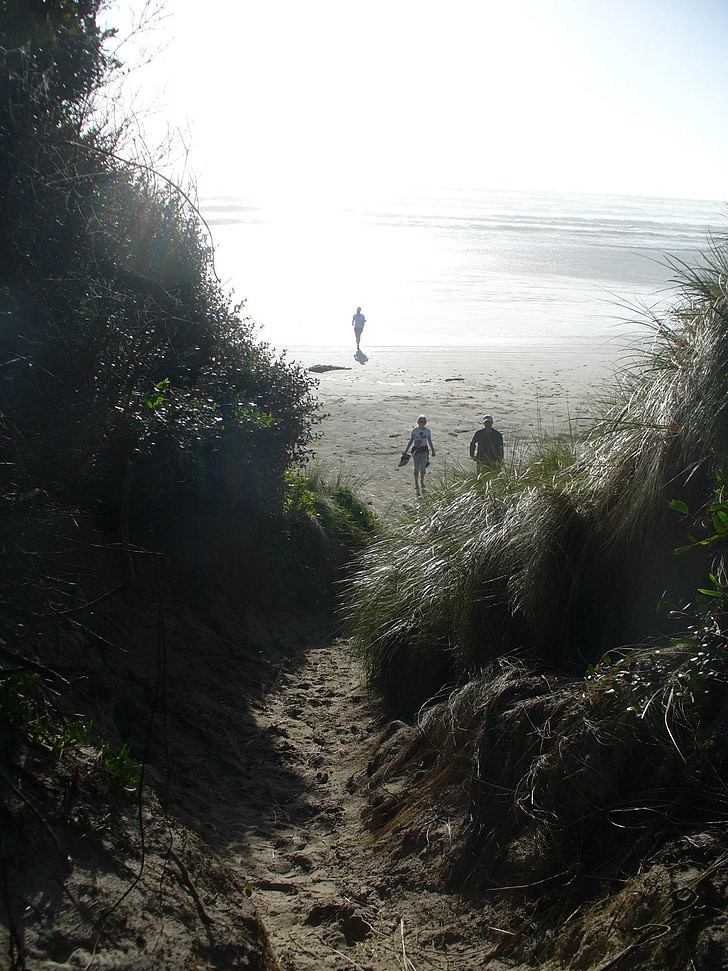 ocean, beach, path, sand, nature, coast, shore