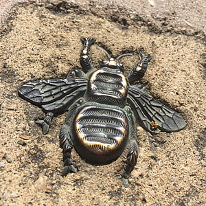 wasp, bronze, pavement