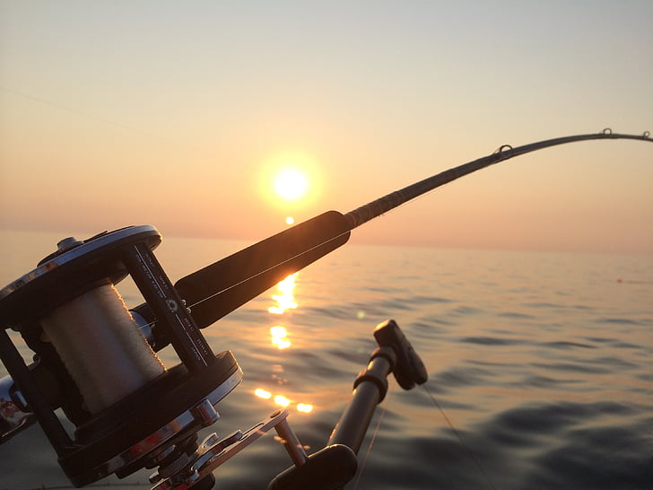 fishing, fishing rod, lake, sunrise, water, sky, nature