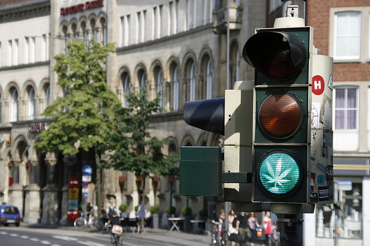traffic lights, hemp, road sign, grass, green, release