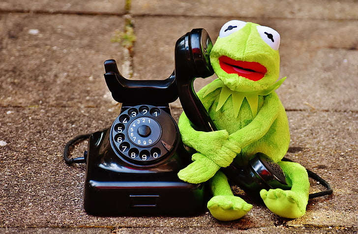 Kermit, broasca, telefon, Figura, distractiv, broaşte, animale