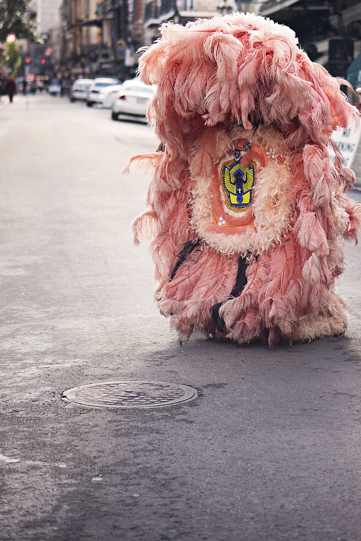 costume, feathers, pink, urban, fur, street, pavement