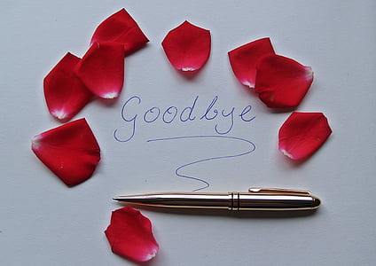Adeus, palavra, pétalas de rosa, vermelho, caneta, ouro, brilhante