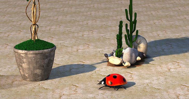 escarabat, planta, cactus, jardí, pedres, mosaic, 3D
