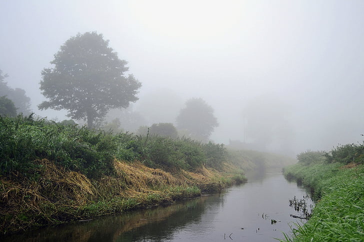 the fog, landscape, river, poland, morning, nature