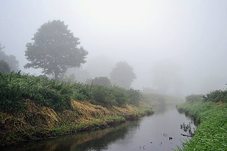 мъгла, пейзаж, река, Полша, сутрин, природата