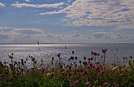Dánia, dán part, sziget, Fyns hoved, Balti-tenger, dán Balti, dán baltic beach