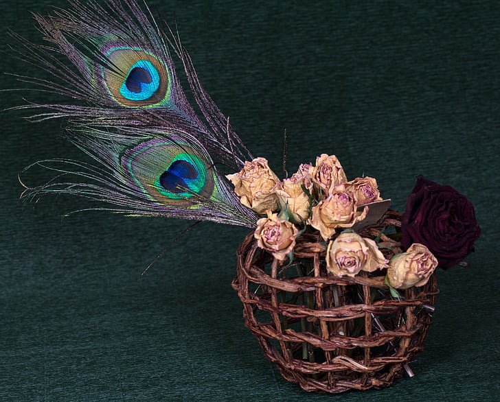 roses, dried flowers, basket, peacock feather, still life