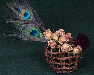 Rosas, flores secas, cesta, pluma del pavo real, naturaleza muerta