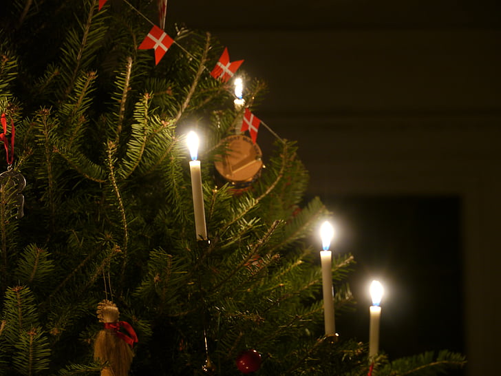 дерево, датский, орнамент, Рождество, украшения, праздник, традиция