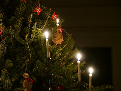 drvo, danski, ukras, Božić, dekoracija, odmor, tradicija