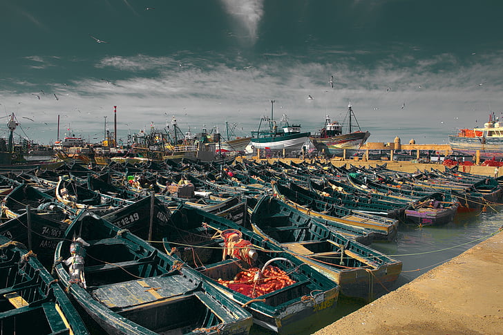 Maroko, Essaouira, Pantai, perahu di pelabuhan, Atlantik, perahu nelayan, Memancing