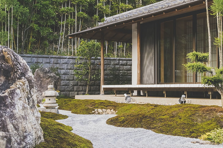 Japó, cultura, casa, verd, natura, jardí, arbres