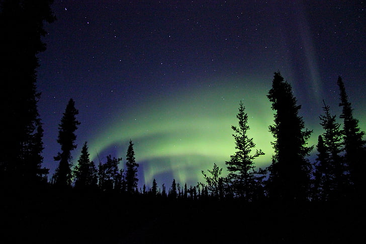 aurora borealis, northern lights, sky, night, landscape, nature, dark