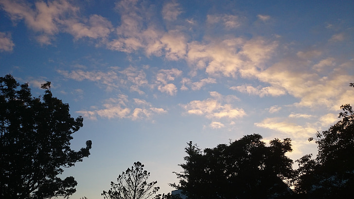 trees, clouds, blue sky