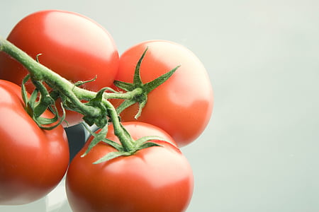 paradajka, červená, Bush paradajka, zelenina, jedlo, Vegetariánska, zdravé