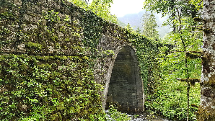 Slovenia, Luonto, Bridge, River, maisema, puut, kesällä