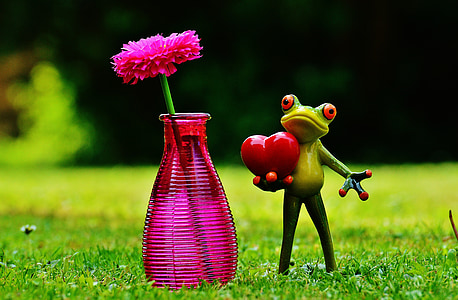 rana, amor, día de San Valentín, florero de, flor, vidrio, tarjeta de felicitación