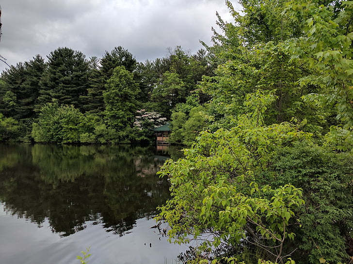 étang, arbres, à l’extérieur, Maryland, gazebo, nature
