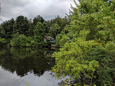 пруд, деревья, на открытом воздухе, Мэриленд, беседка, Природа