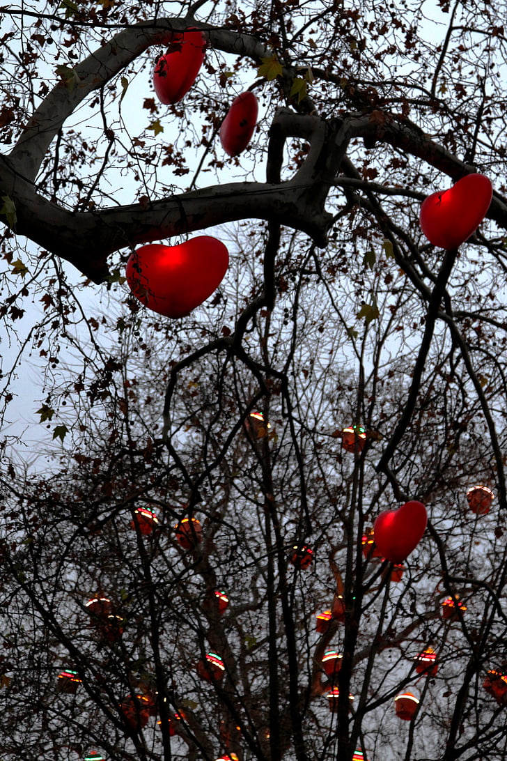 trái tim, cây, công viên, Vienna, biểu tượng, chi nhánh, màu đỏ
