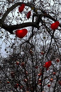 serca, drzewo, Park, Wiedeń, Symbol, Oddział, czerwony