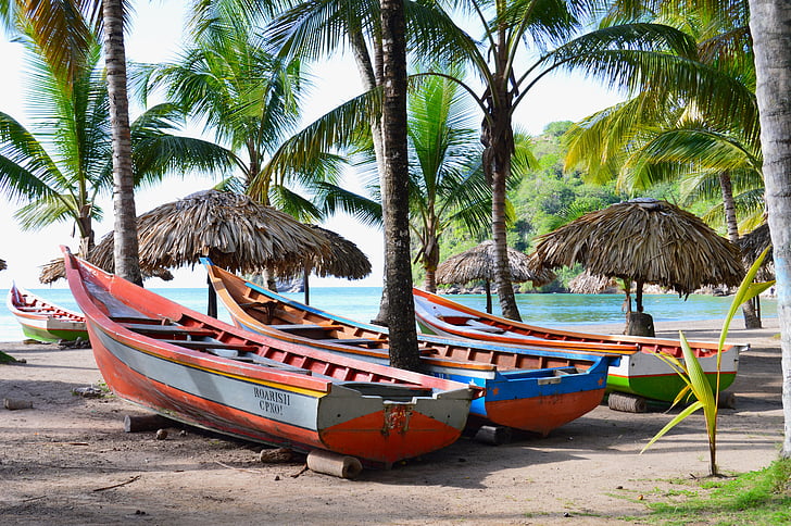 boat, beach, sky, sea, ocean, plants, palms