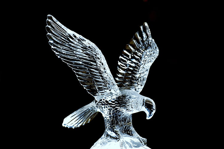 Adler, vidre, escultura, fràgil, transparents, noble, figura