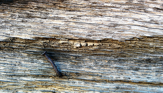 wood, nail, rusty, wooden, timber, construction, plank