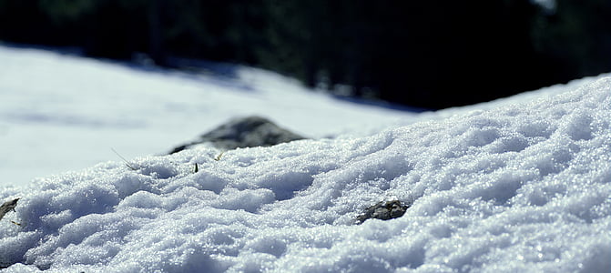 neige, glace, Nevada, hiver, froide, blanc, nature