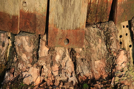 дървен материал, дъски, пън, дупки, кора, дърво - материал, стар