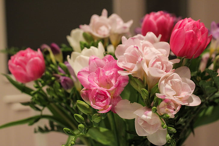ziedi, pušķis, daba, Pavasaris, krāsains, dzimšanas dienas pušķis, tulpes