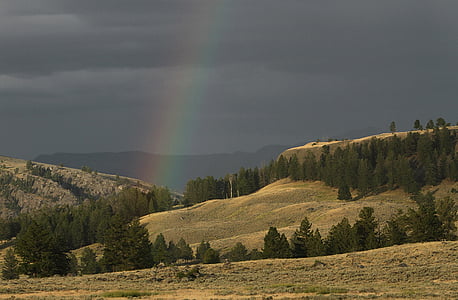 rainbow, landscape, weather, rain, colorful, scenic, trees