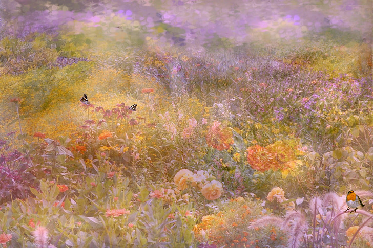 baggrund, tekstur, flower meadow, natur, blomst, plante, multi farvet