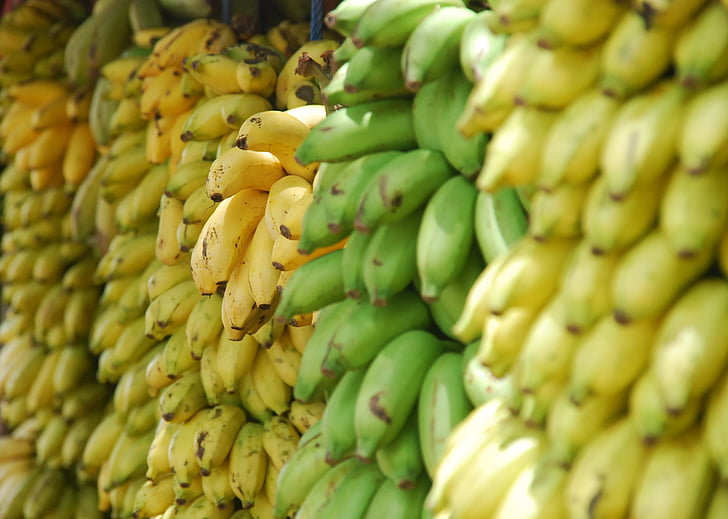 bananer, mad, frisk, frugter, frugt, banan, friskhed