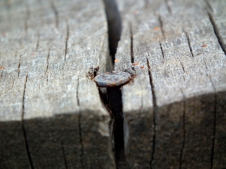 nail, old, rust, boards, wood, metal, construction