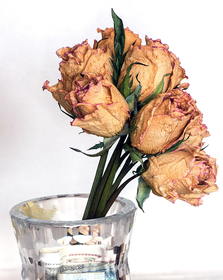 dried flowers, roses, bouquet, vase