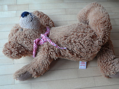 Teddy, bất cẩn, vứt bỏ, để lại, cô đơn, Buồn, mối quan tâm