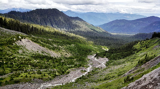 skog, Mount baker, Snoqualmie, Washington, landskapet, USA, grønn