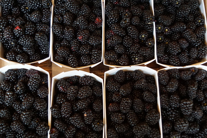 blackberries, berries, healthy, delicious, fruit, eat, food