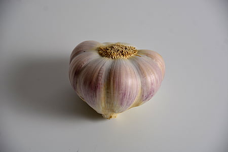 clove of garlic, garlic, kitchen, condiment, head of garlic, garden plant, garlic grown