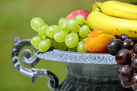 fruit bowl, shell, fruit, fruits, fruity, vitamins, healthy