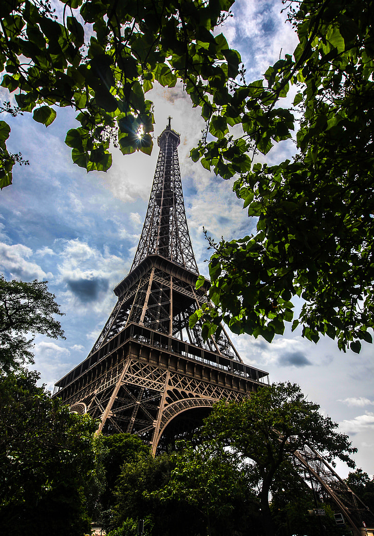 eiffel tower, paris, monument, foliage, day, france
